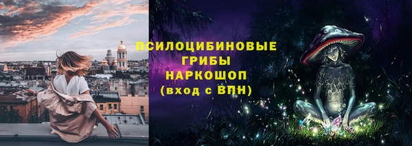 МДПВ Алексин